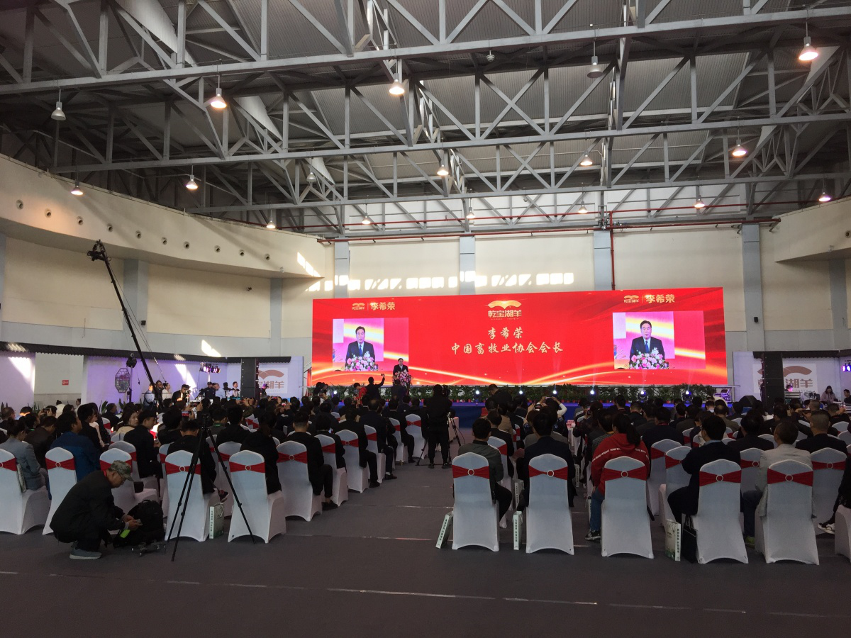 图片9.png